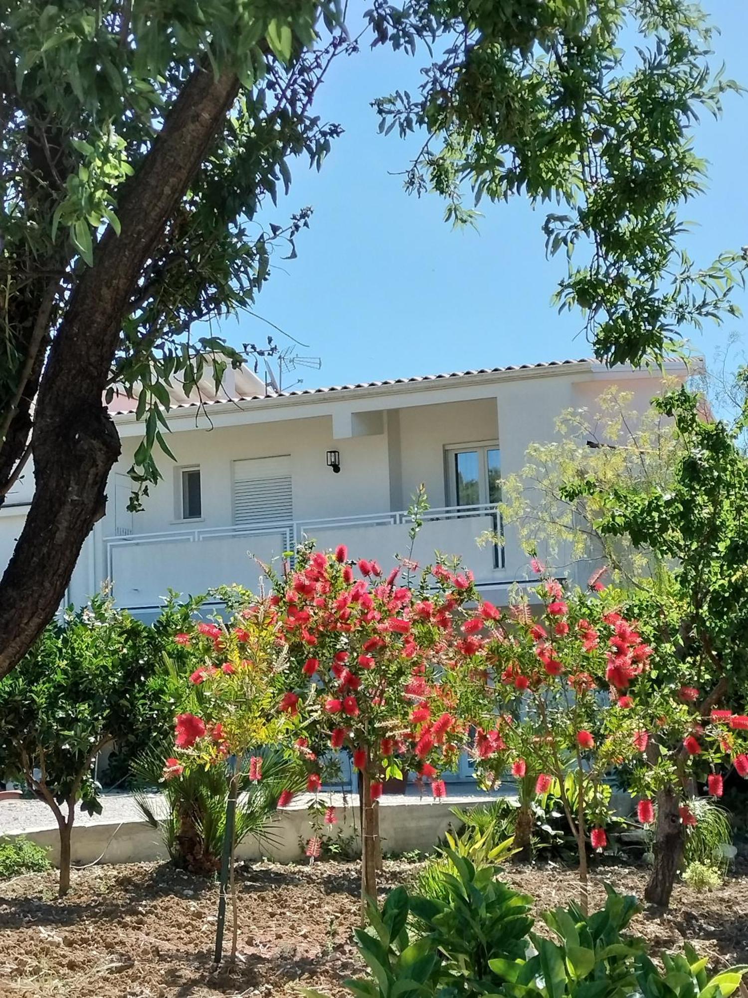 Casa Ferreri Hotel Santa Ninfa Kültér fotó